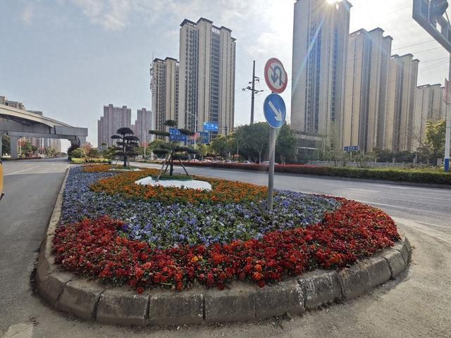 威尼斯官网芜湖经开区：局栽植时令花草提拔街景(图1)