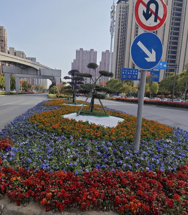 威尼斯官网芜湖经开区：局栽植时令花草提拔街景(图2)