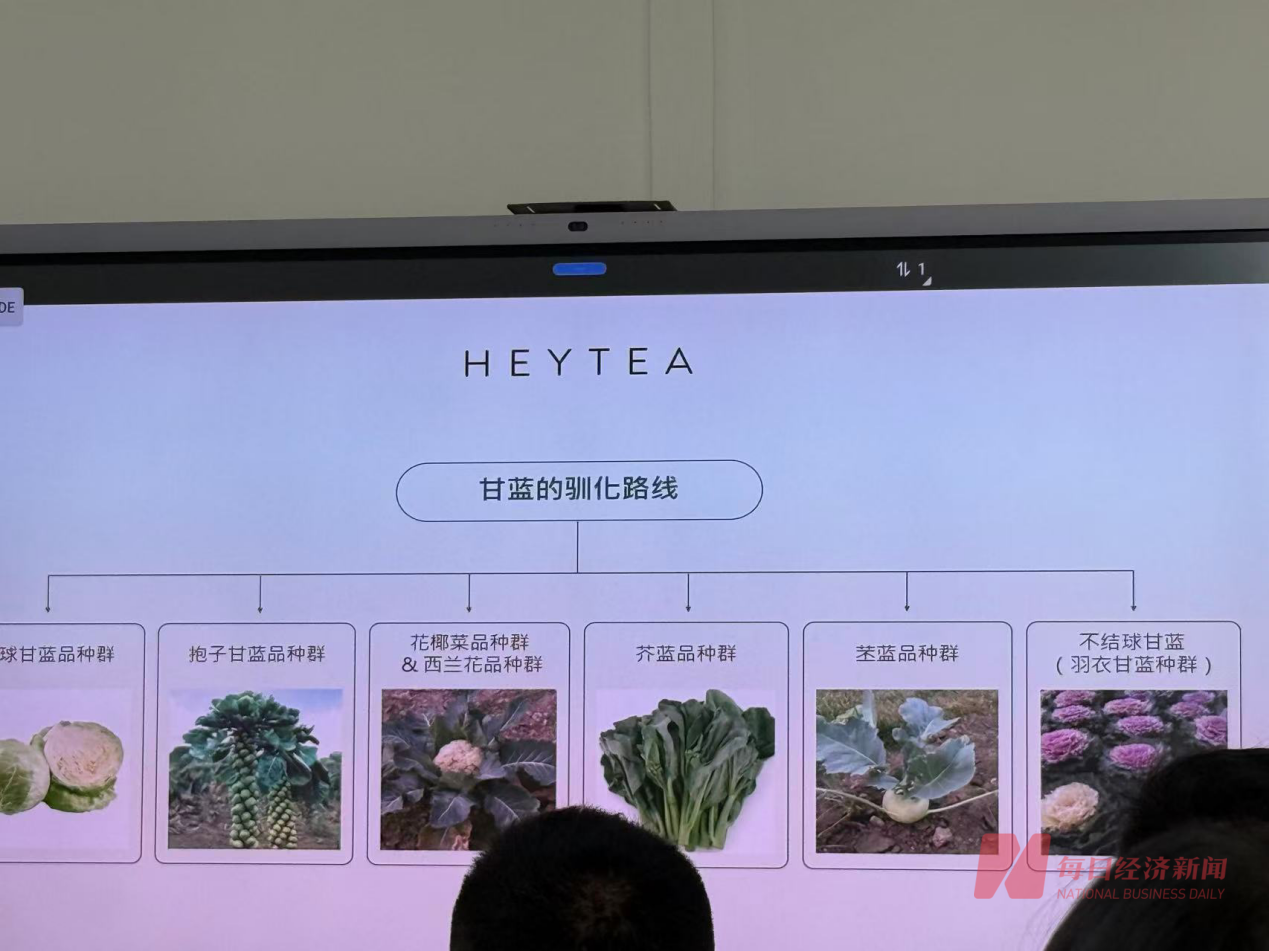 威尼斯wns8885556官方入口“饮品顶流”羽衣甘蓝暗战供给链 新茶饮怎样“卷(图1)